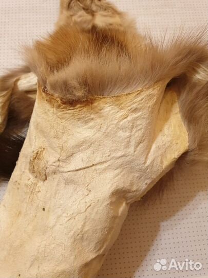 Шкуры соболя