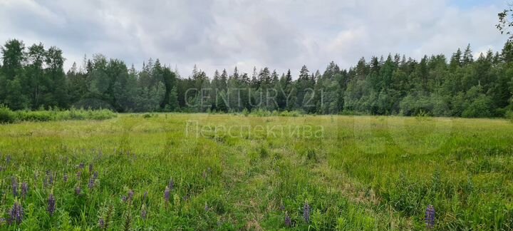 Участок 40 сот. (СНТ, ДНП)