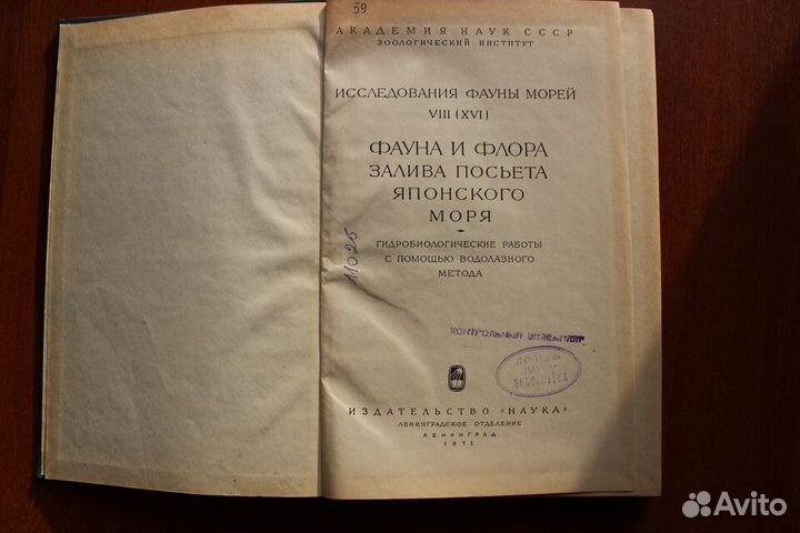 Фауна и флора залива Посьета Японского моря