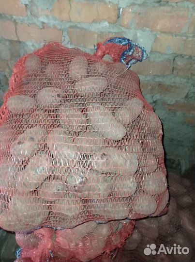 Продам картофель домашний