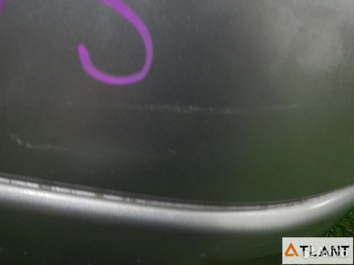 Nose cut subaru forester