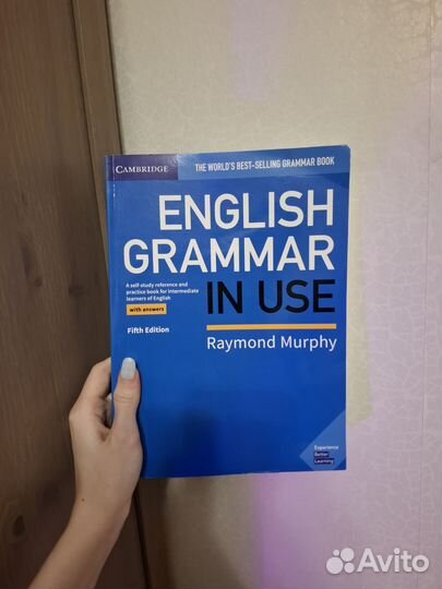 English grammar in use Raymond Murphy intermediate