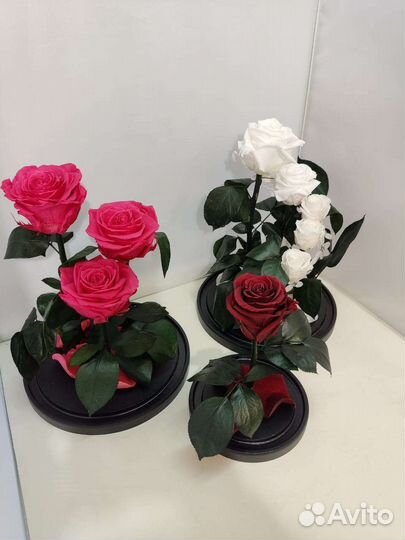 Роза в колбе