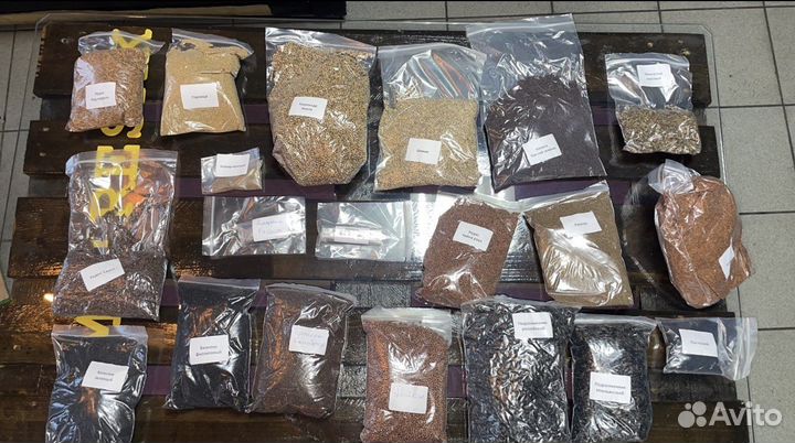 Семена для микрозелени оптом и в розницу