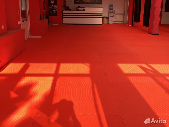 Будо маты ласточкин хвост