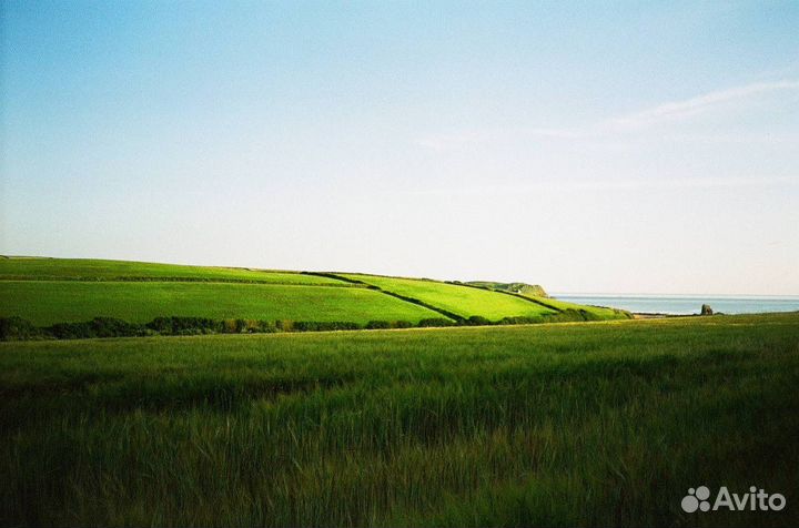 Плёночный фотоаппарат Canon Prima BF-7