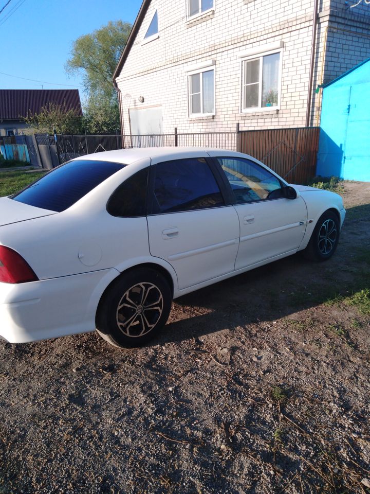 Opel Vectra: фото владельца