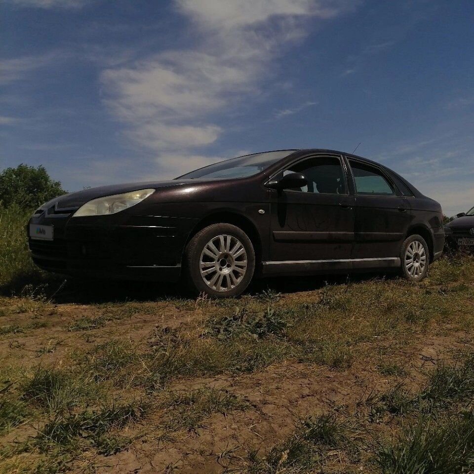 Citroen C5: фото владельца