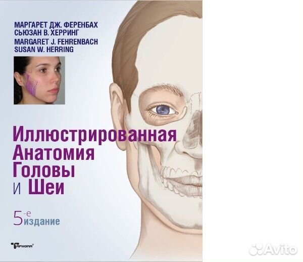 Иллюстрированная анатомия головы и шеи