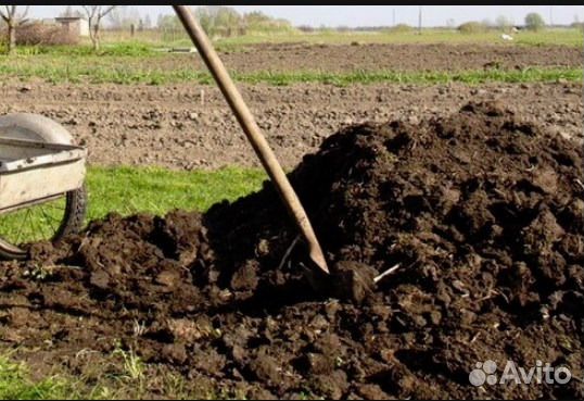 Навоз, Чернозем