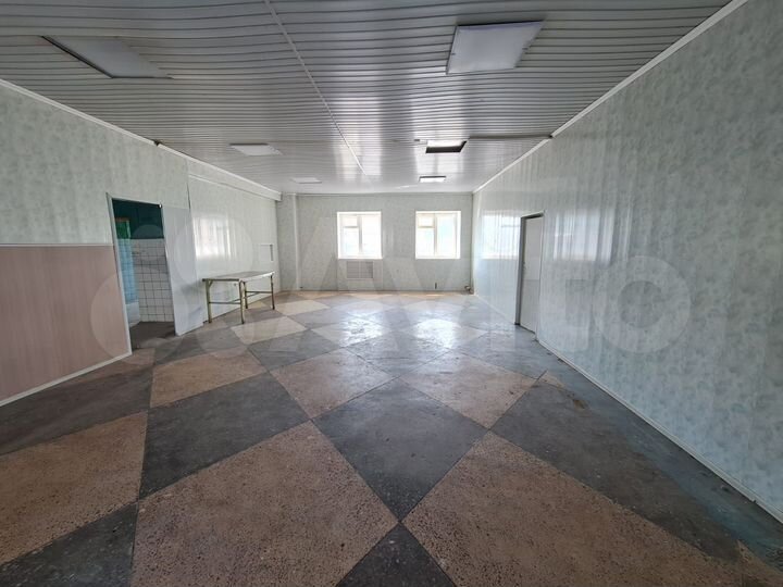 Свободное, пр-во, общепит 150 м²