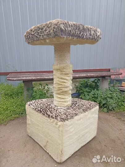 Когтеточка домик для кошки бу