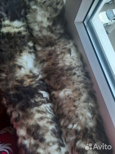 Шкурки натуральной овчины