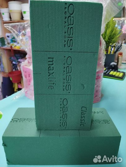 Флористический оазис