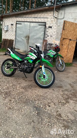 Racer panther 300