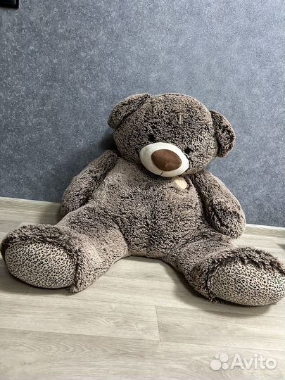Плюшевый медведь