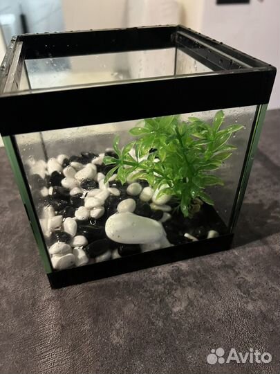 Аквариум