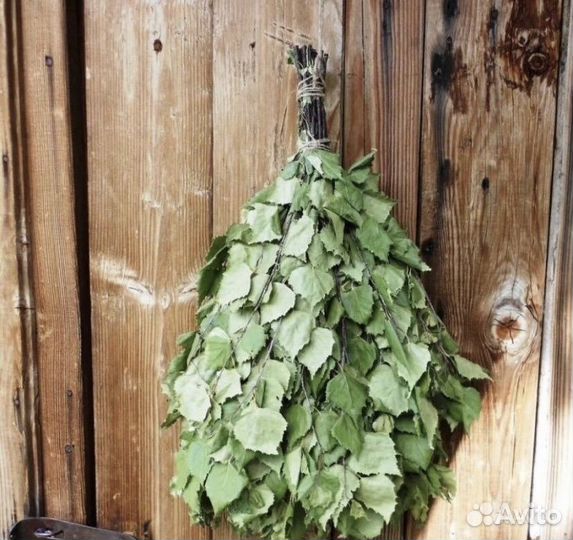 Веники для бани, березовые