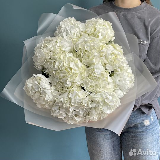 Букет из гортензий 21 31 51 101 гортензия
