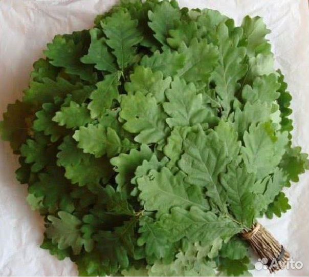 Веники-берёза и дуб