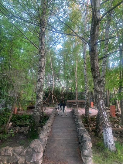 Коттедж 505 м² на участке 26 сот.