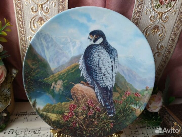 Тарелка настенная Сапсан Зельтманнов, Вохенштраусс