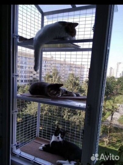Оконный вольер для ваших кошек