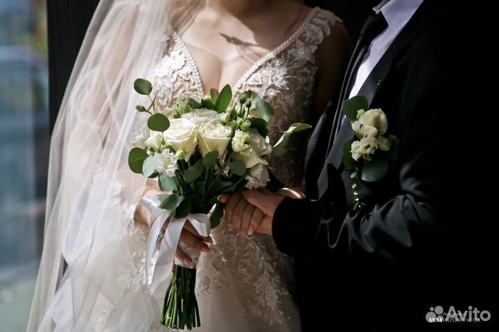 Фотограф + Видеограф