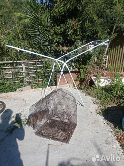 Большая клетка СССР