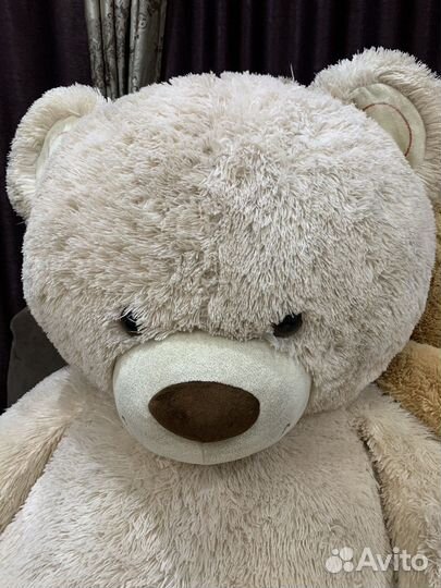 Большие плюшевые медведи