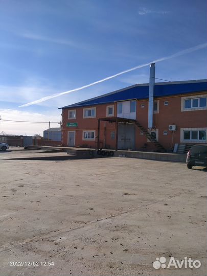 Бойня крс
