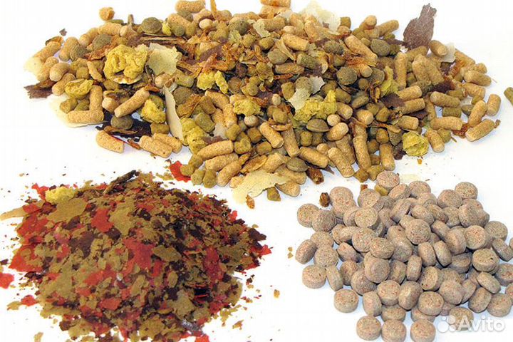 Корм для рыб