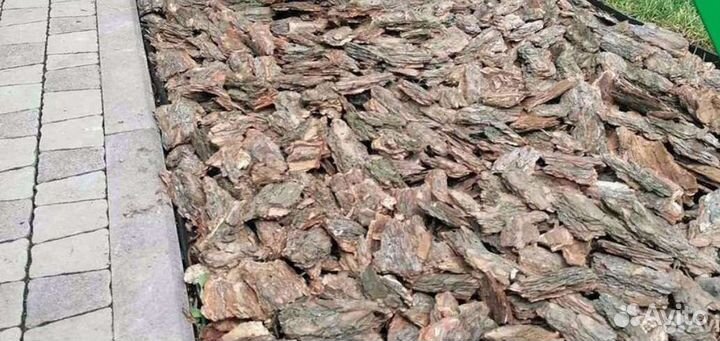 Кора сосны мульча