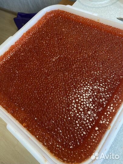 Икра красная 2023