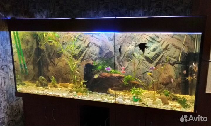 Аквариум с тумбой 500 литров