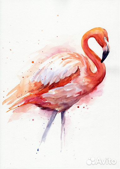 Картина акварелью Фламинго 42 х 30 см