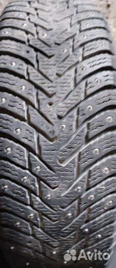 Nokian hakkapeliitta 8 195 65 r15