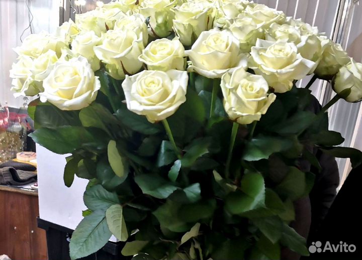 101 роза с доставкой, букет роз с доставкой