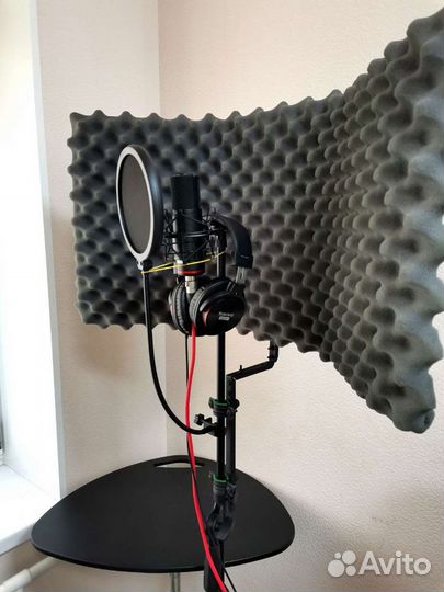 Студия звукозаписи (песни, поздравления, стихи)