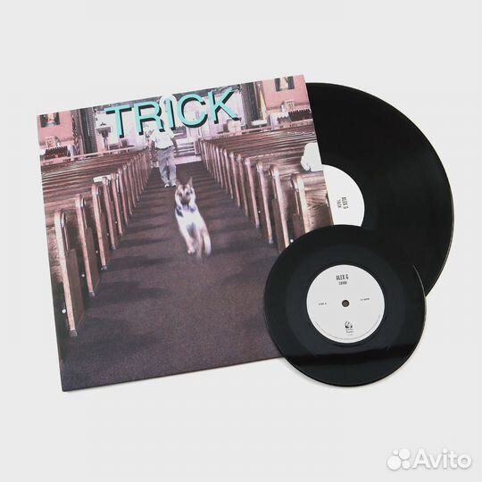 Alex G Trick vinyl