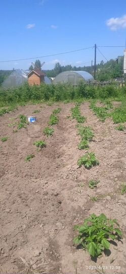 Участок 8 сот. (СНТ, ДНП)