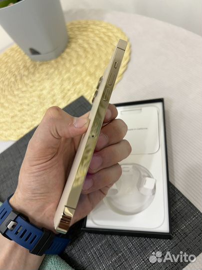 iPhone 12 Pro Max, 256 ГБ
