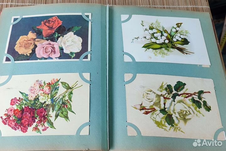 Фотоальбом.Фотографии.Цветы