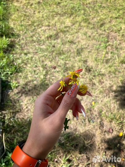 Наращивание ногтей