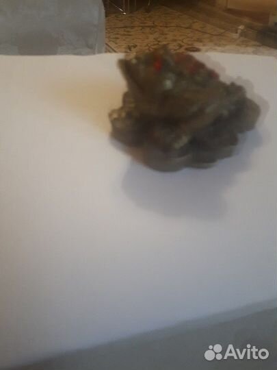 Жаба денежная талисман