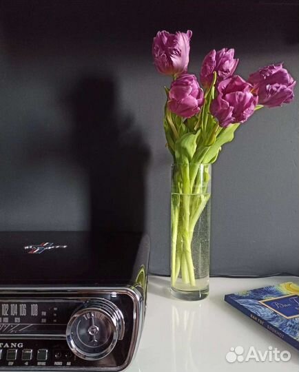 Проигрыватель ion mustang lp black (чёрный)