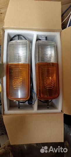 Надфарники нива