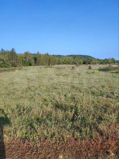 Участок 25 сот. (ИЖС)