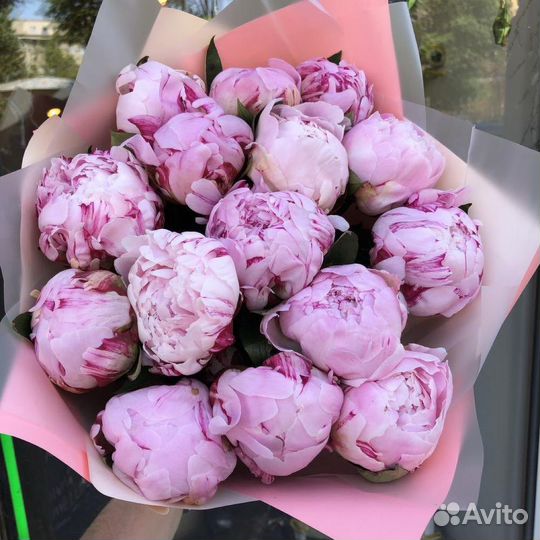 Букет пионов, Пионы 9 15 21