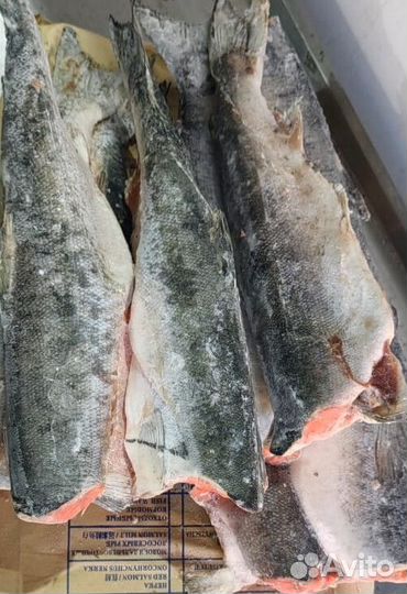 Нерка пбг блочной заморозки размер 